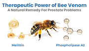 BEE BOOM Nasal Inhaler for Mens Powers